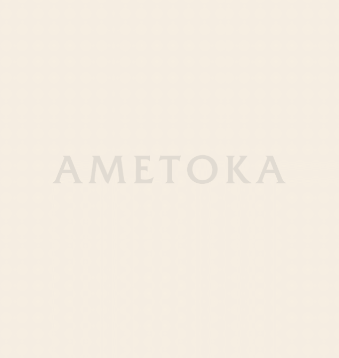 Ametoka wordmark